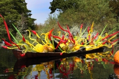 Dallas Arboretum Chihuly Sculpture