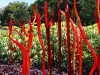 img_7741_1-red-garden-flames-2