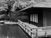 tea-house-2