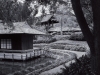 tea-house-pathway_1